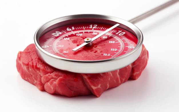 Meat Thermometer